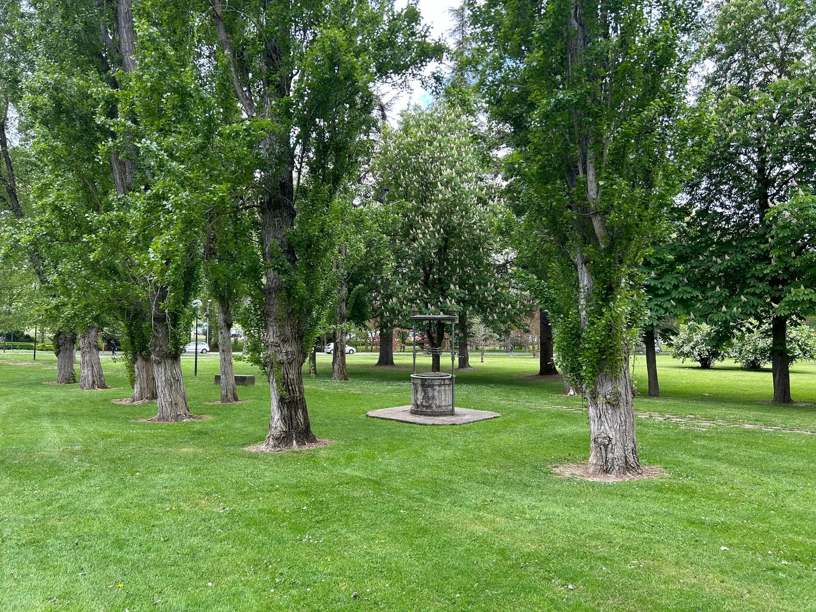 Düzce Üniversitesi UI GreenMetric 2026'da dünyada 138. sıraya yükseldi
